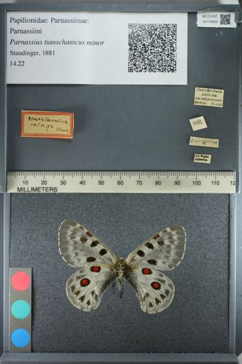 Media type: image;   Entomology 174856